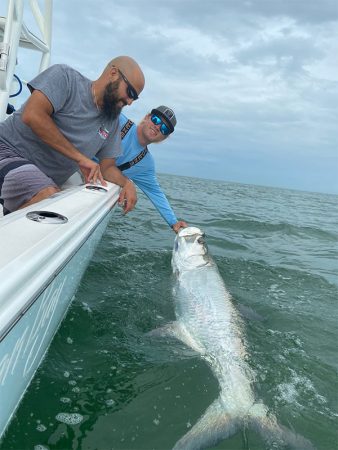 Huge Tarpon caught in St Pete Beach