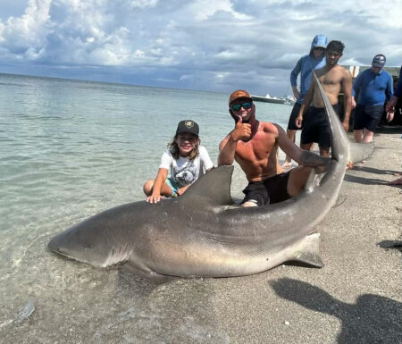 Shark Fishing Is Heating Up in St. Pete Beach! Hot Spots and Expert Tips